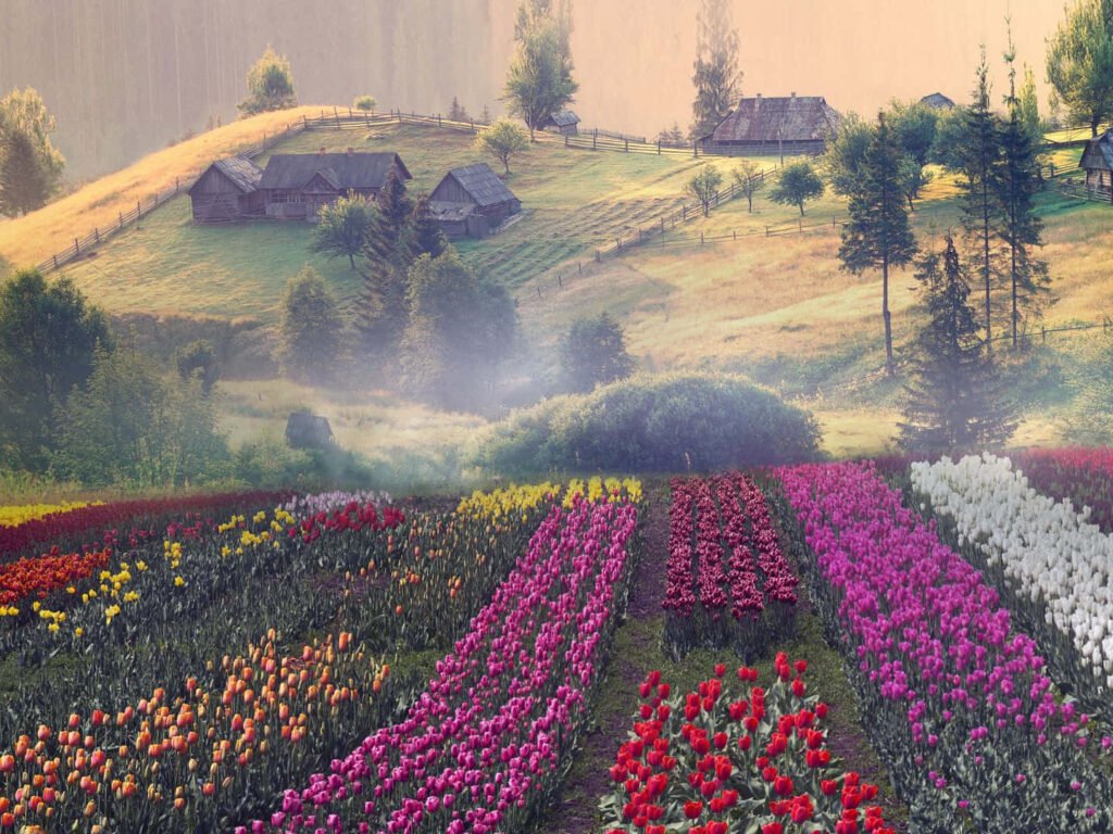 Życie w Hiszpanii krok po kroku